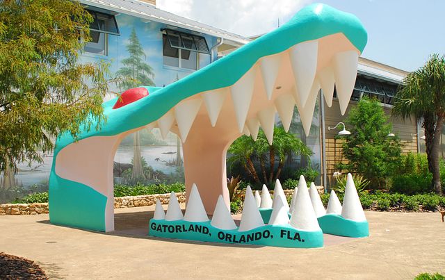 Orlando Attraction