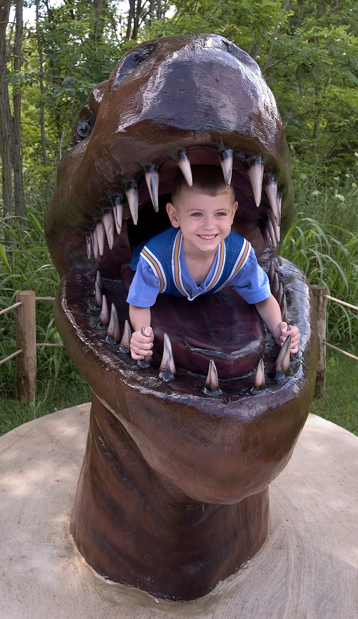 2291_boy_in_dinosaur.jpg