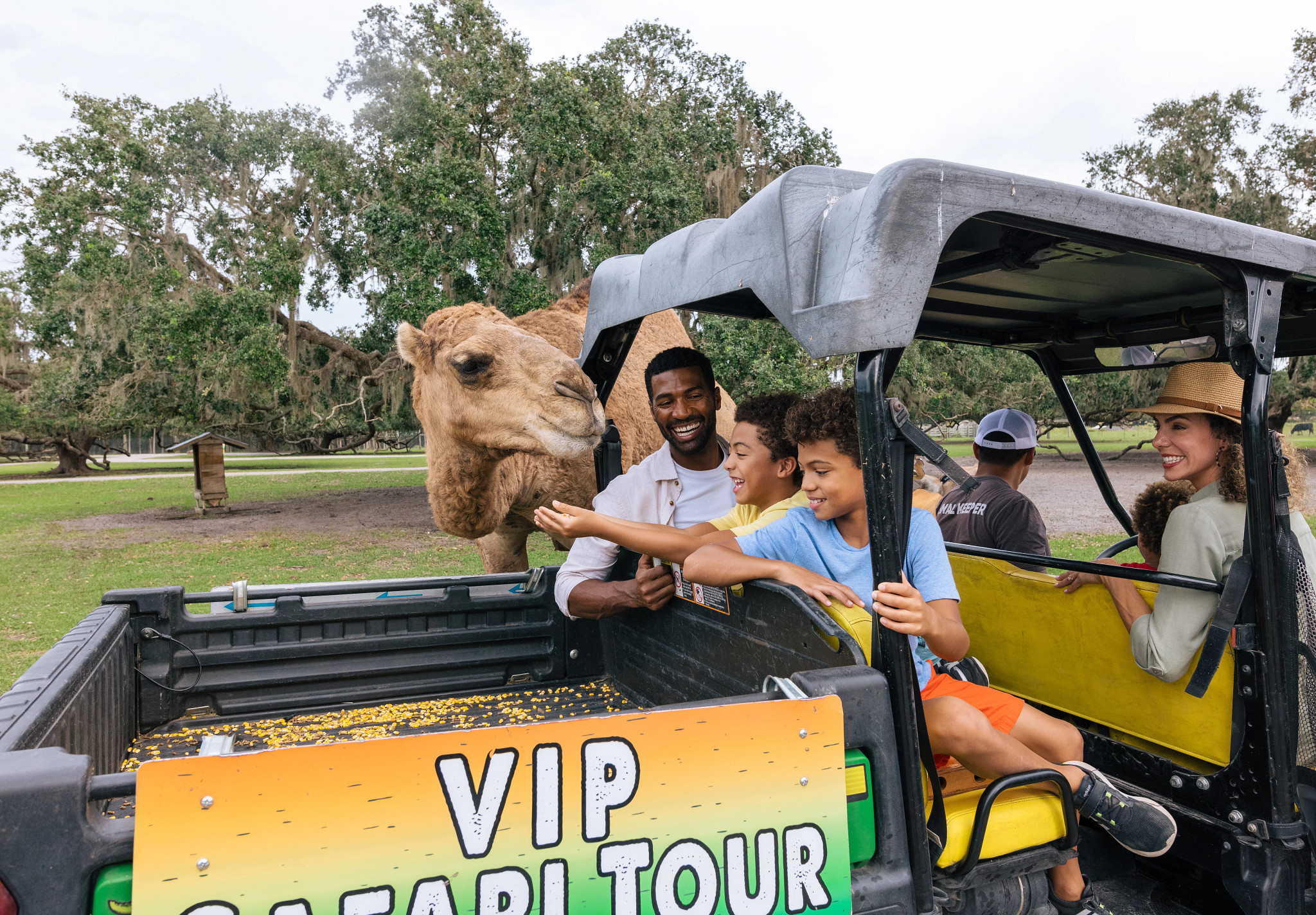 144418-family-vip-safari-tour.jpg