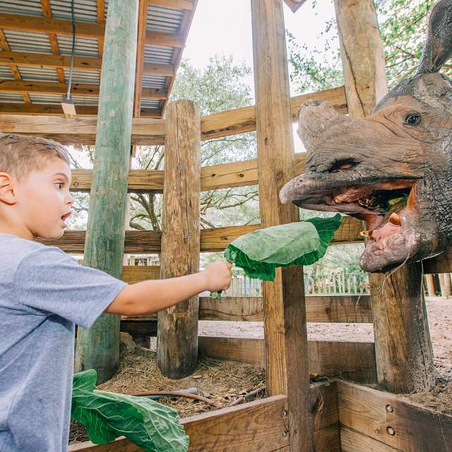 182613-boy-rhino-encounter.jpg