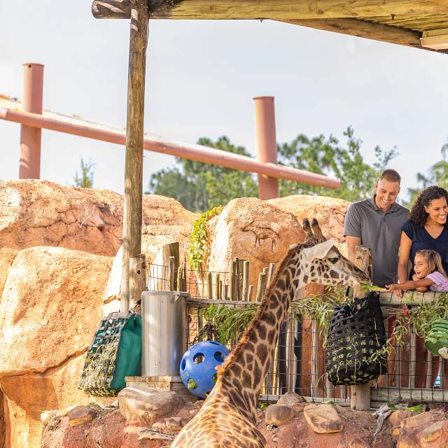 182613-family-giraffe-encounter.jpg