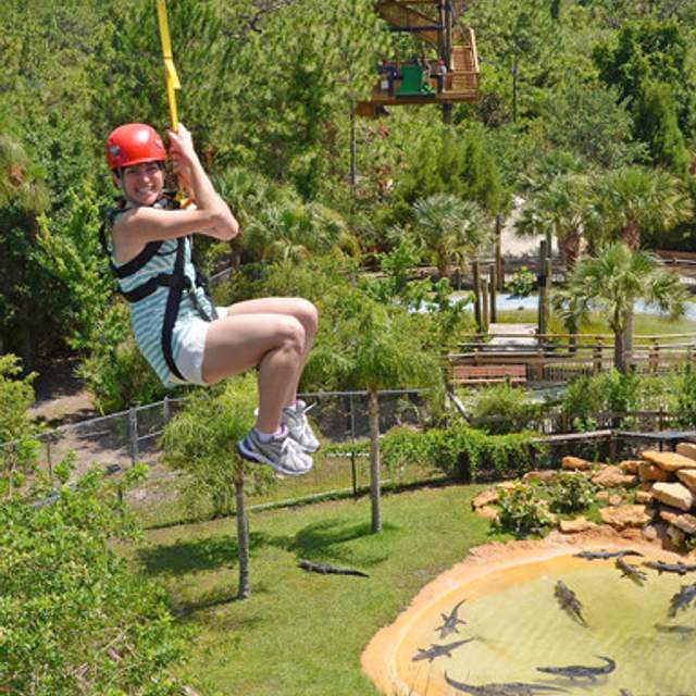 138126_zipline_gators.jpg