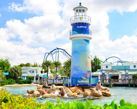 Baby Shark at SeaWorld® Orlando