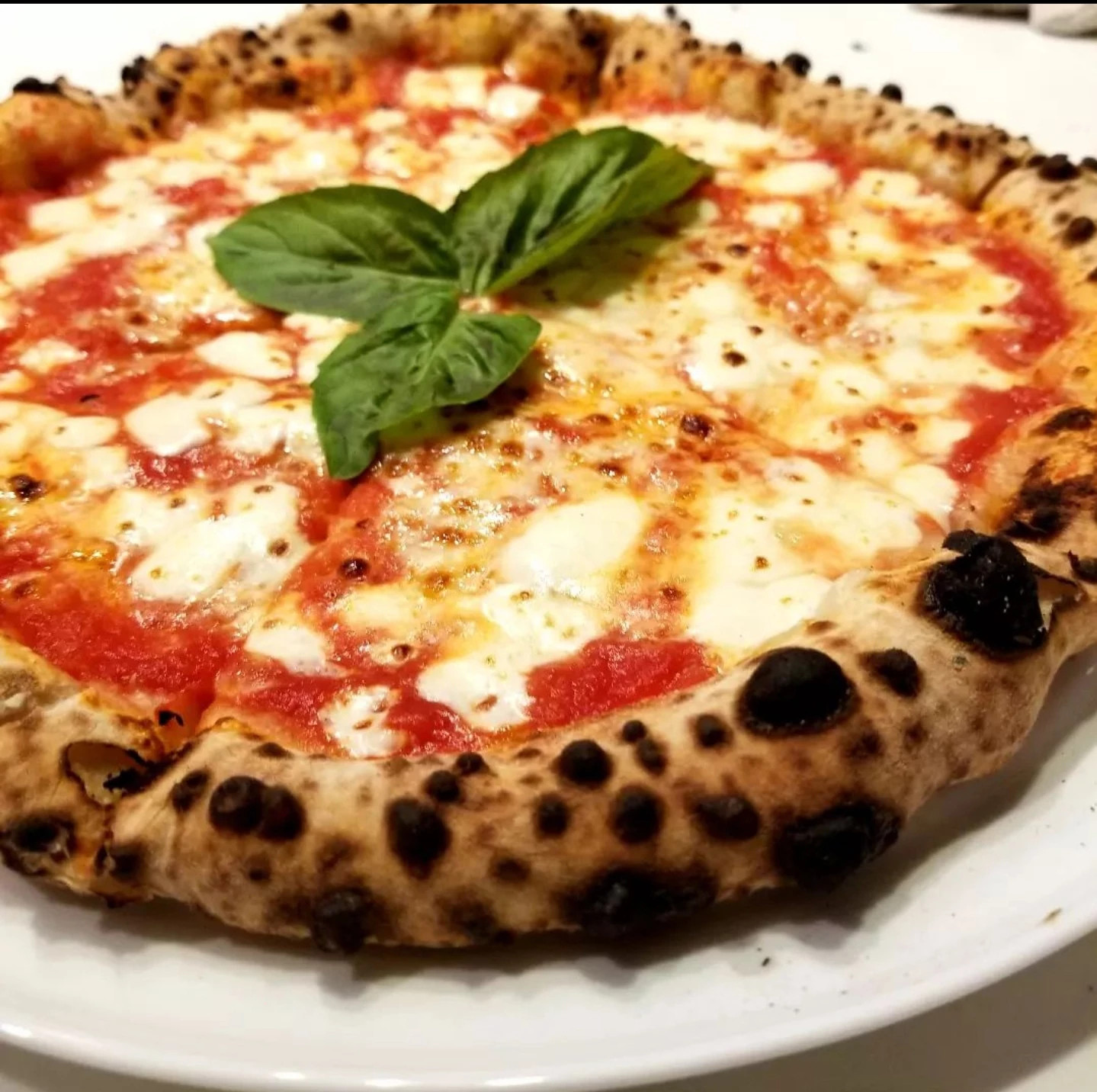 Antica Pizzeria Altamonte Springs, FL 52798