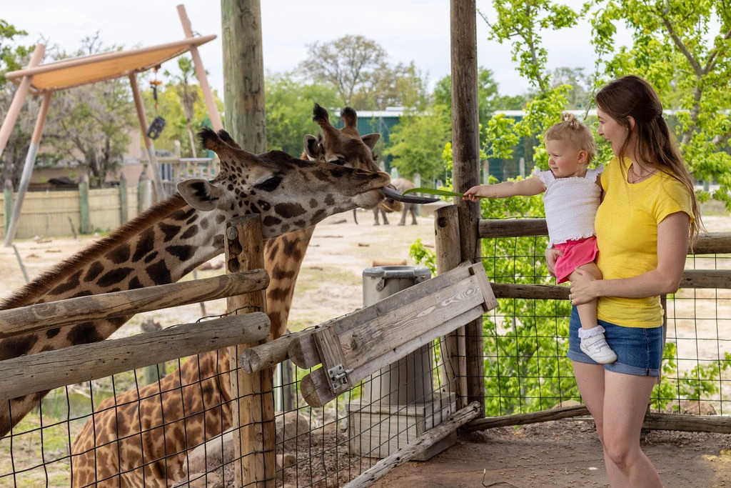 182613-family-giraffe-encounter2.jpg