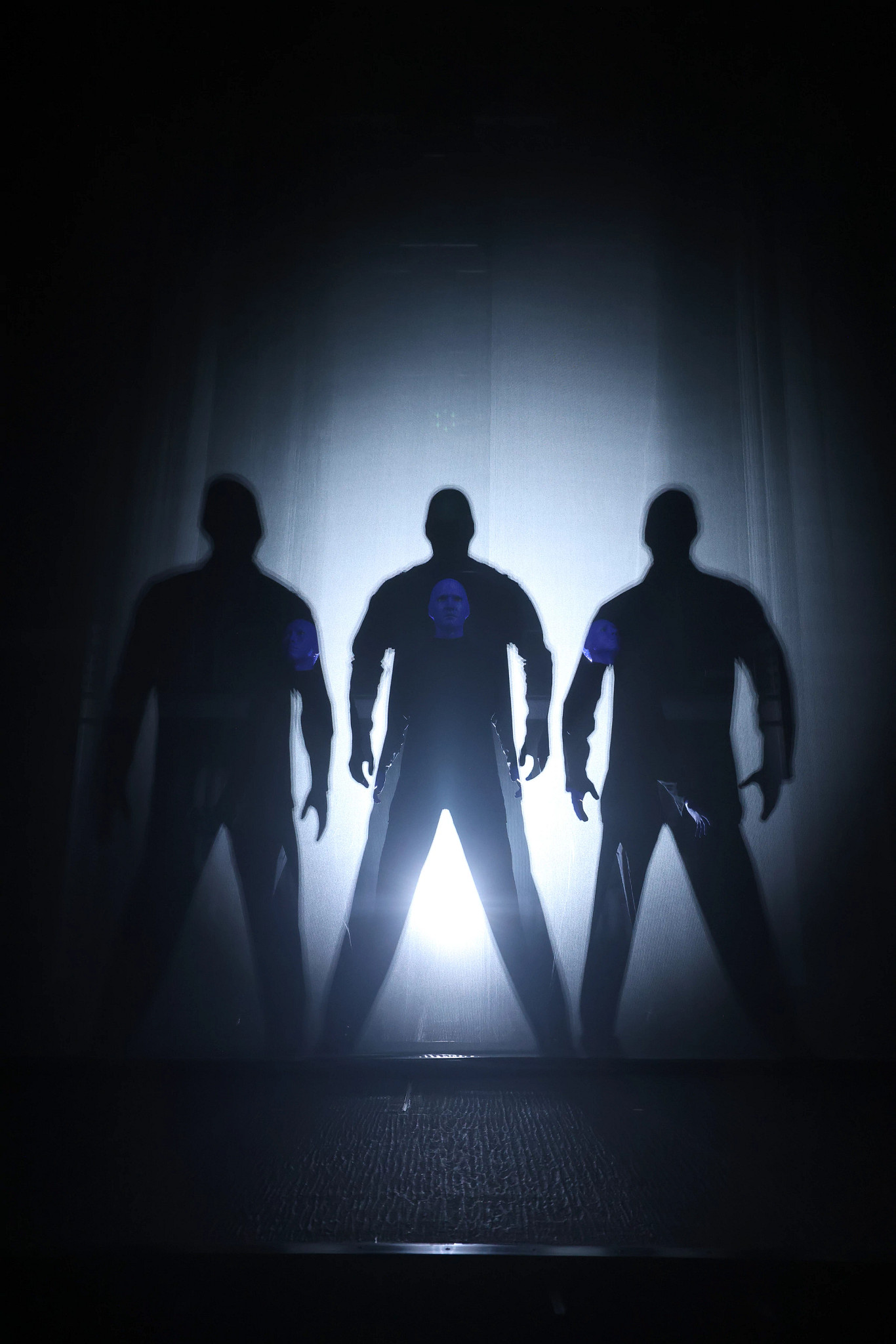 83837-bmg-silhouette.jpg