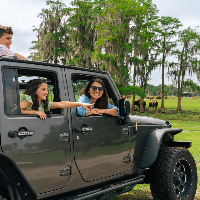144418-family-drive-thru-safari2.png