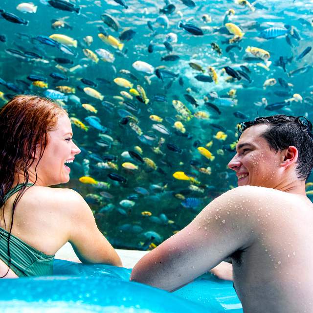 74502_fish_grotto.jpg