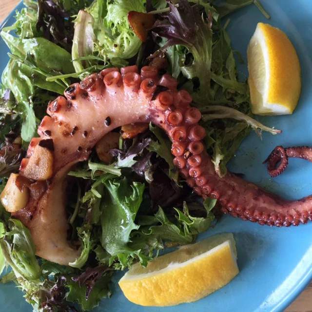 201408-octopus.jpg