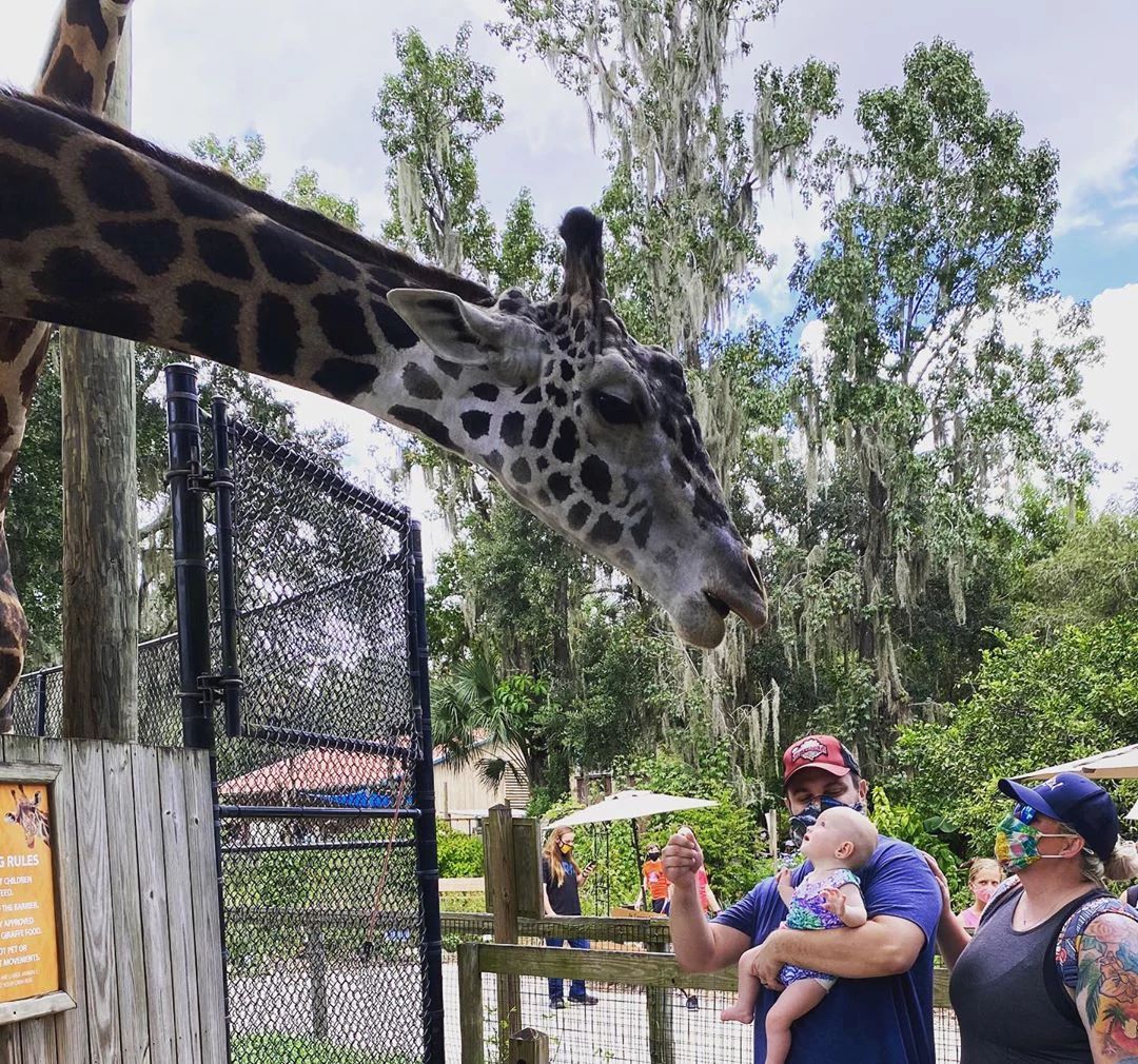 Walking The Grounds: Distances, Flow, And Time