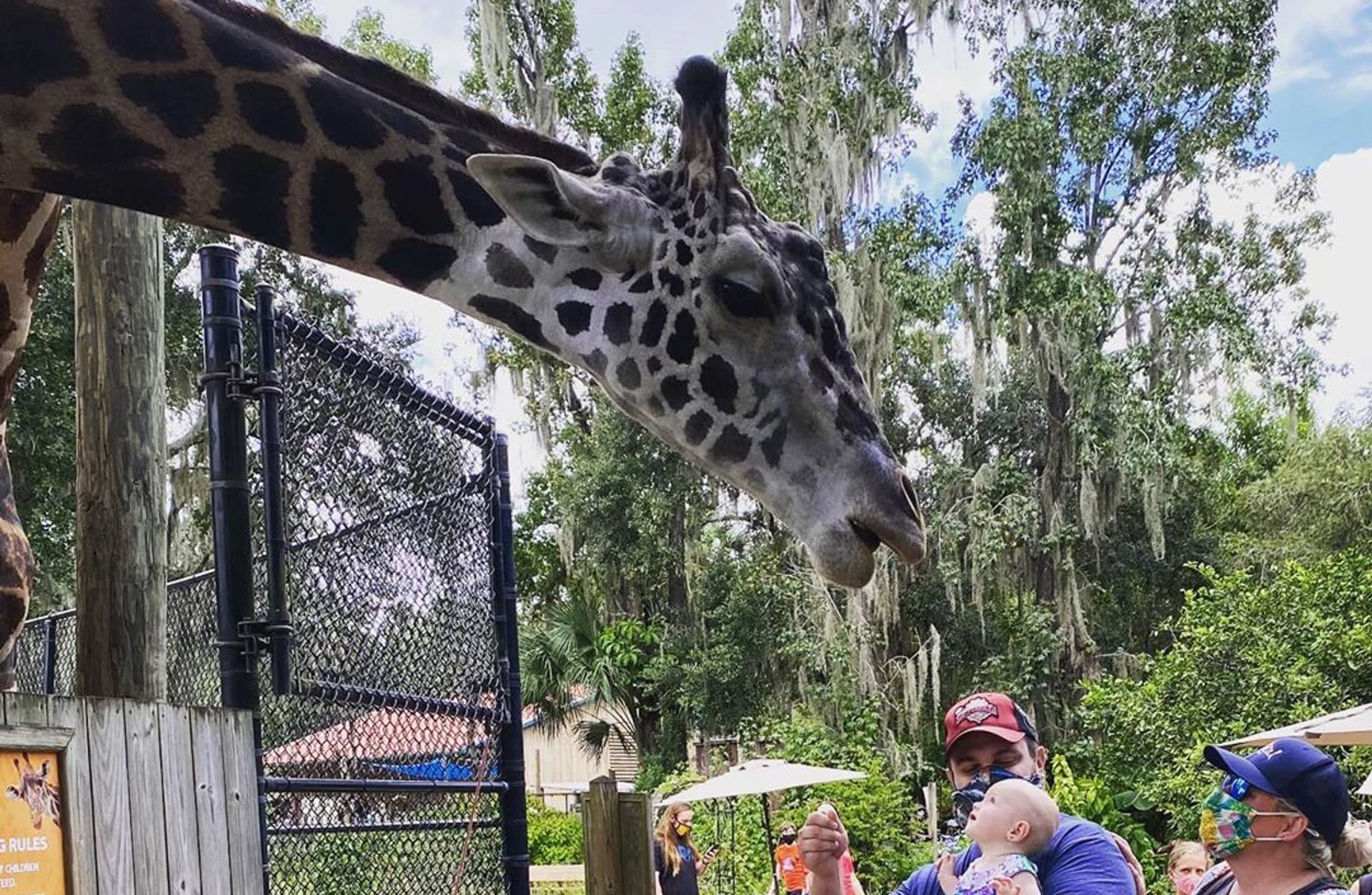 Central Florida Zoo & Botanical Gardens | Sanford, FL | 30971