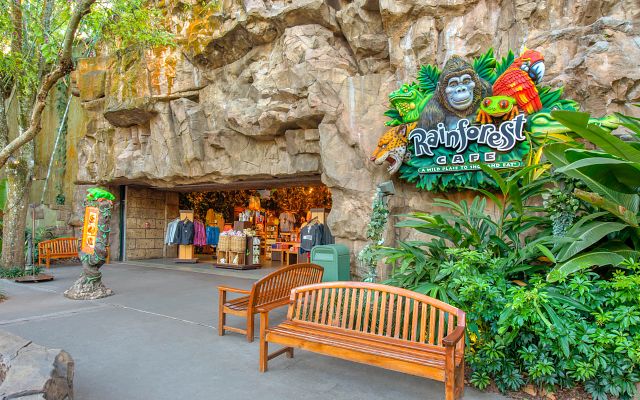 Rainforest Cafe at Disney's Animal Kingdom® | Lake Buena Vista, FL | 50775