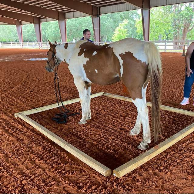 SuhlsRodeoTeamBuilding-2025-7.JPG