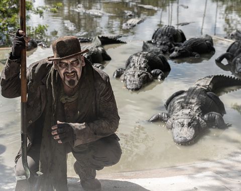 Gators, Ghosts & Goblins