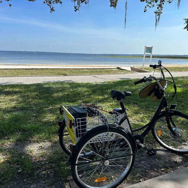 201290-electric-trike2.jpg