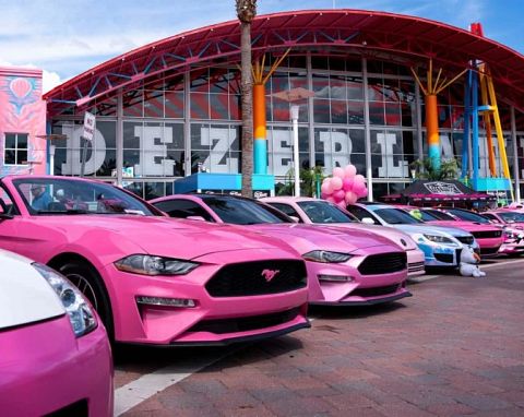 3rd Annual ALL PINK Auto Show