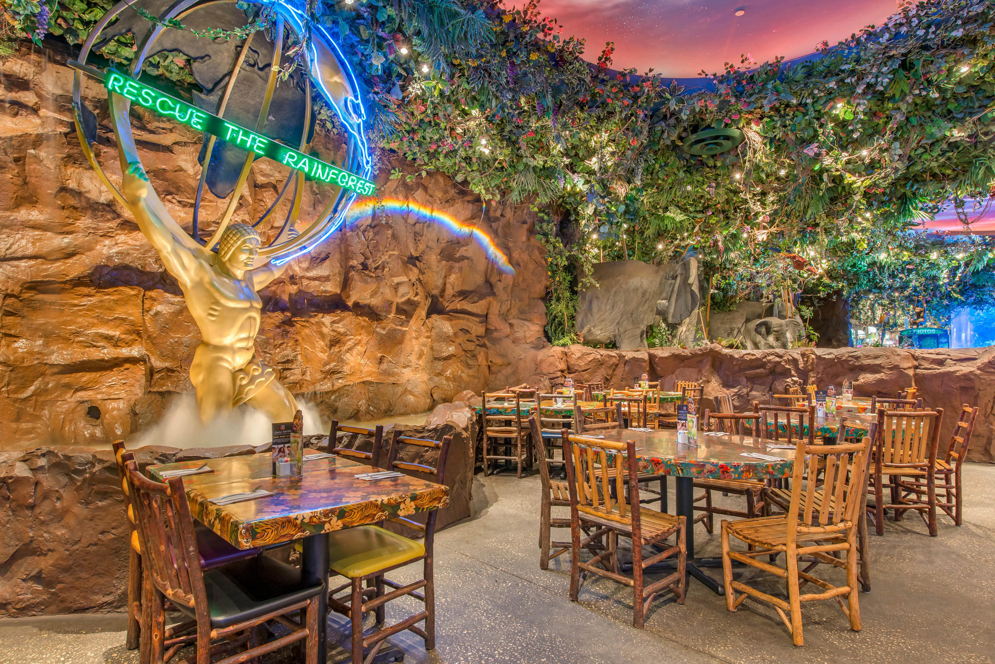 Rainforest shop cafe locations