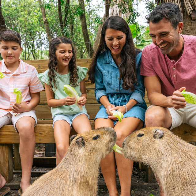 144418-family-feeding-animals.png