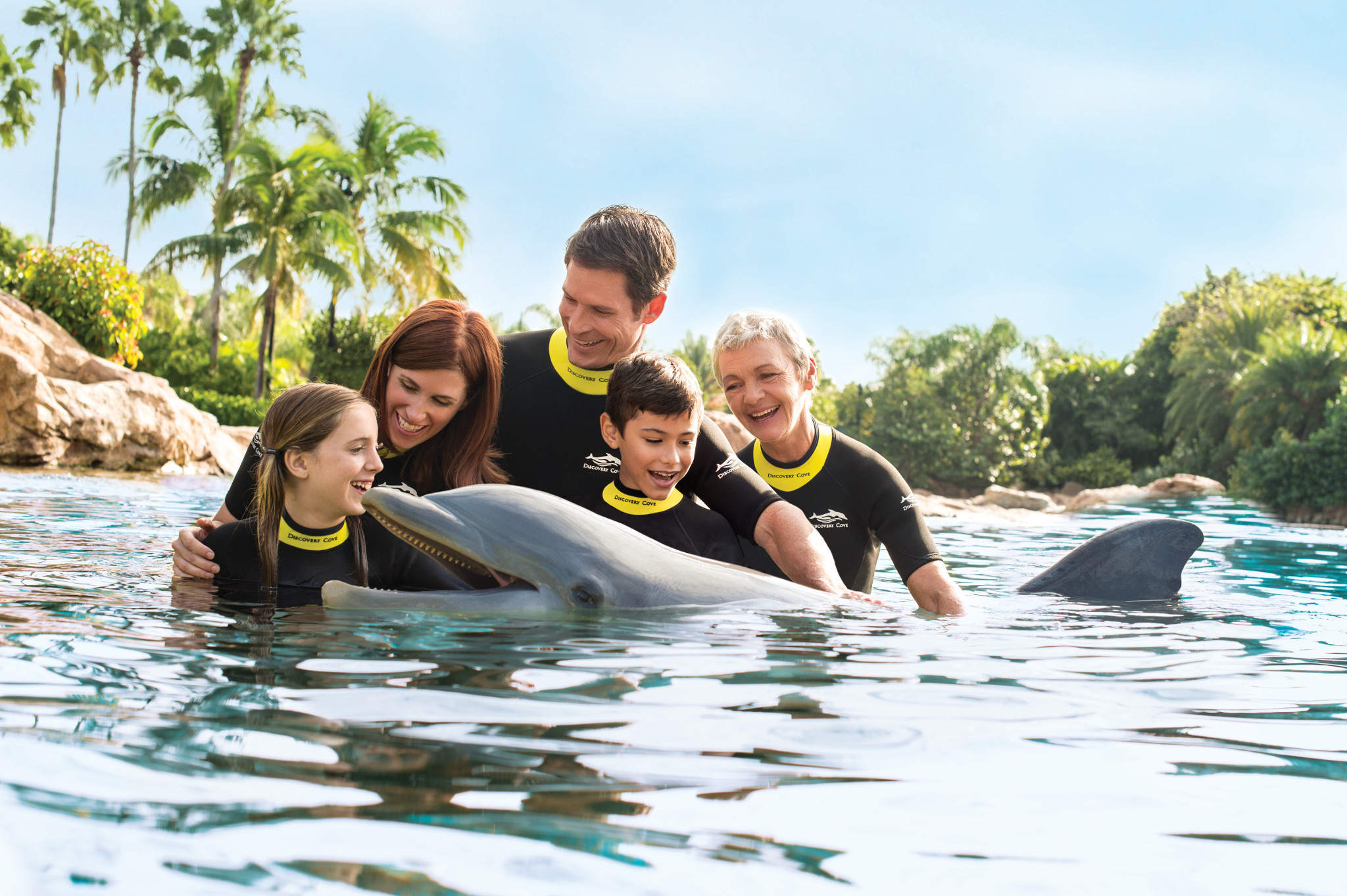 2306_dolphin_family.jpg