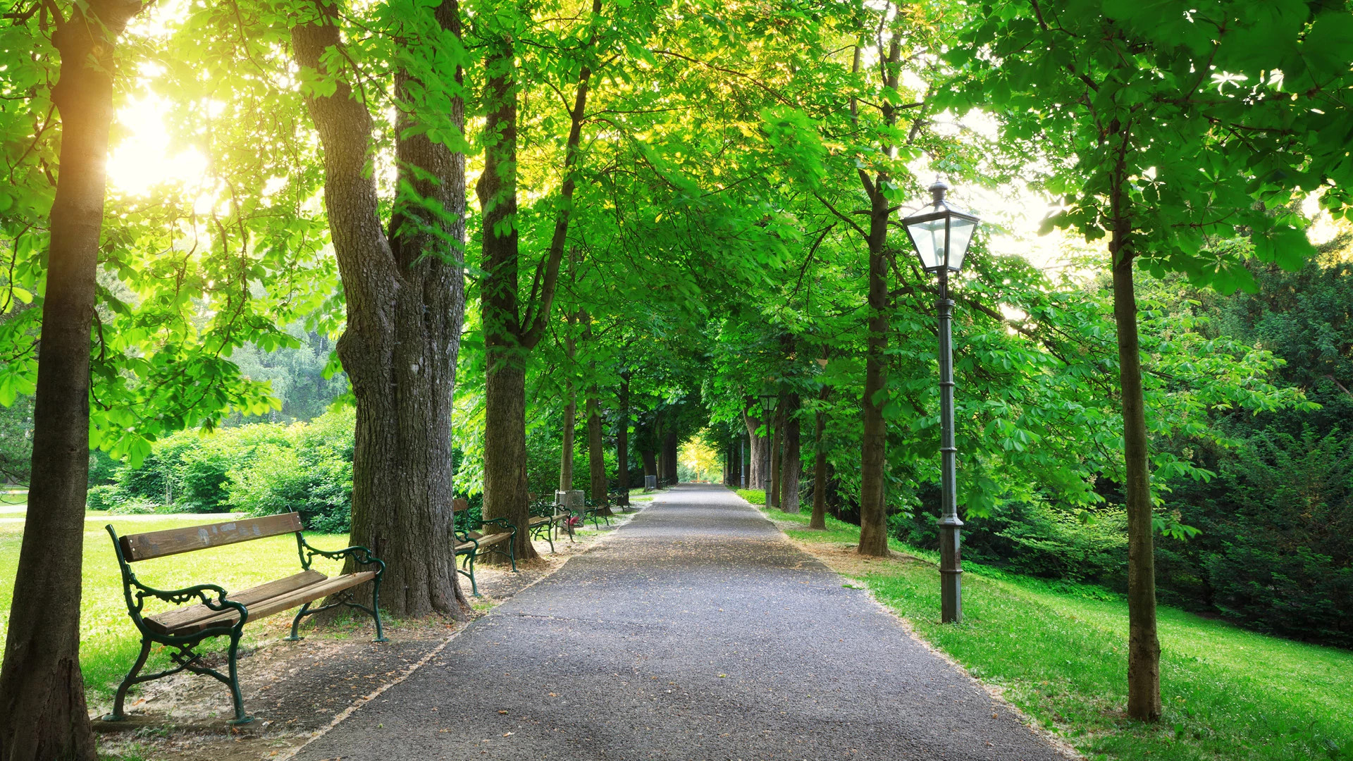 Gotha Park Gotha, FL 52135