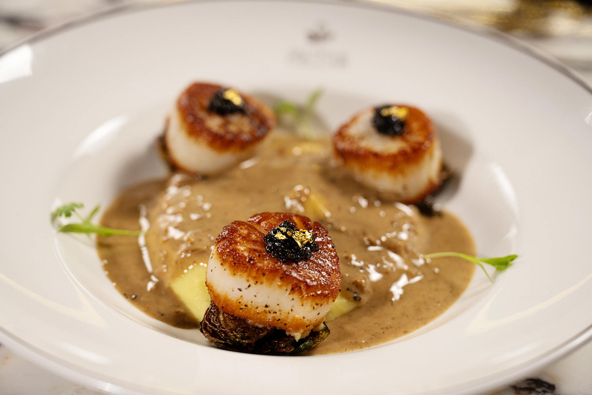 Salt & the Cellar By Akira Back Kissimmee, FL 53519