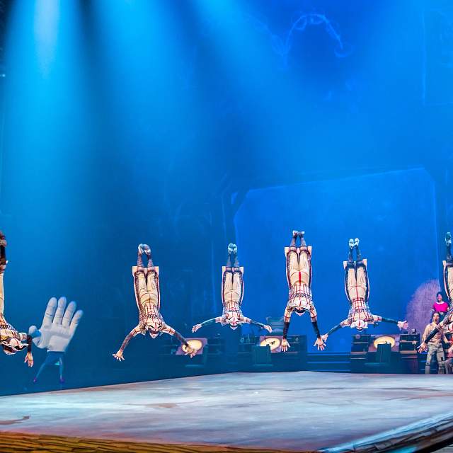 196566-rhythmic-gymnastics2.jpg