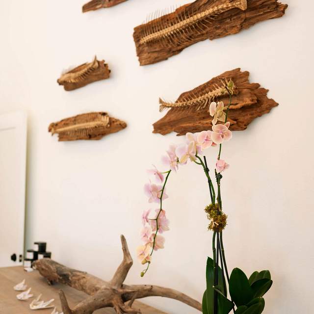 201578MeredithSandDesign-2028-5.jpg