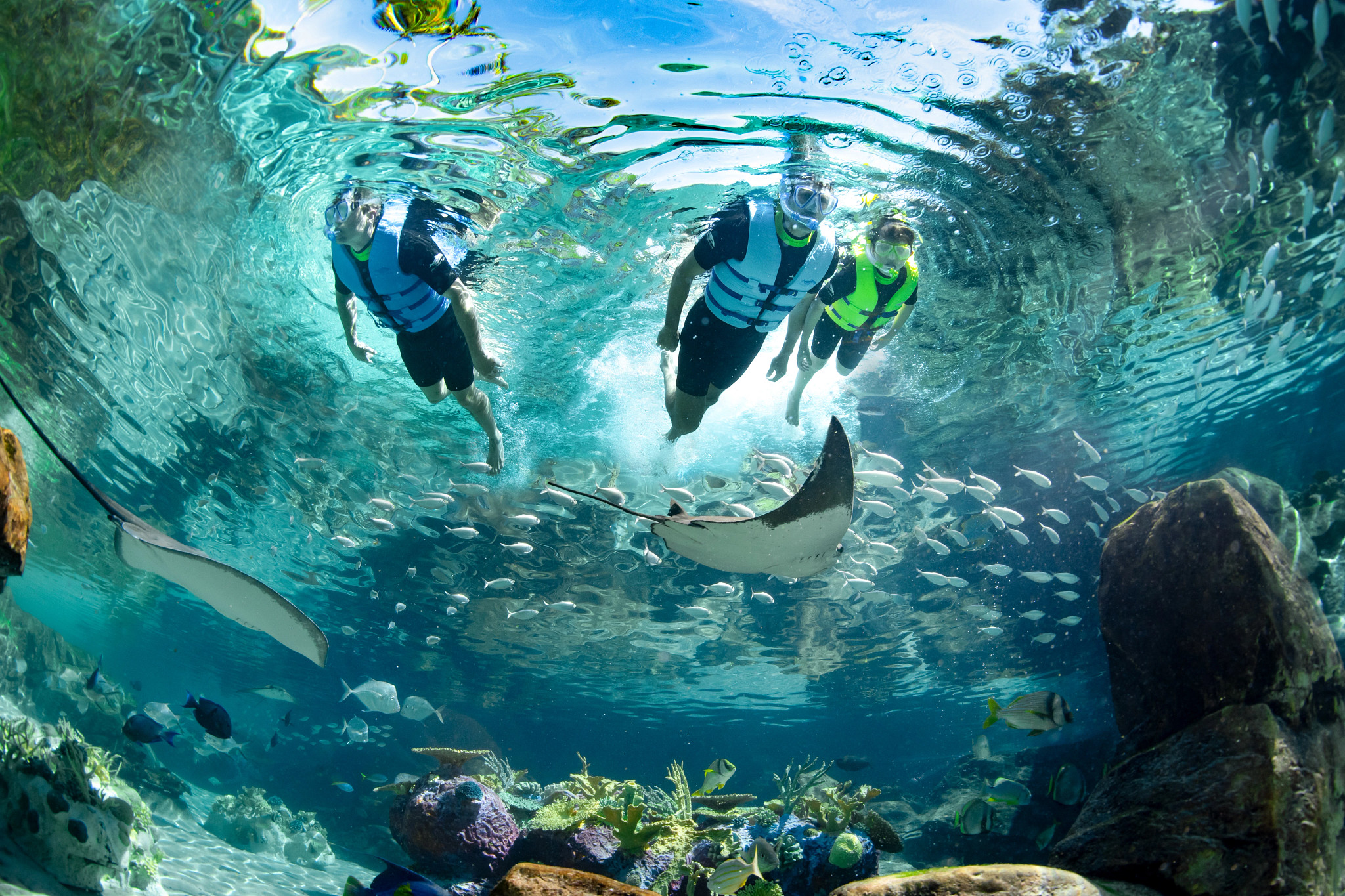 2306-DiscoveryCove-2029-8.jpg