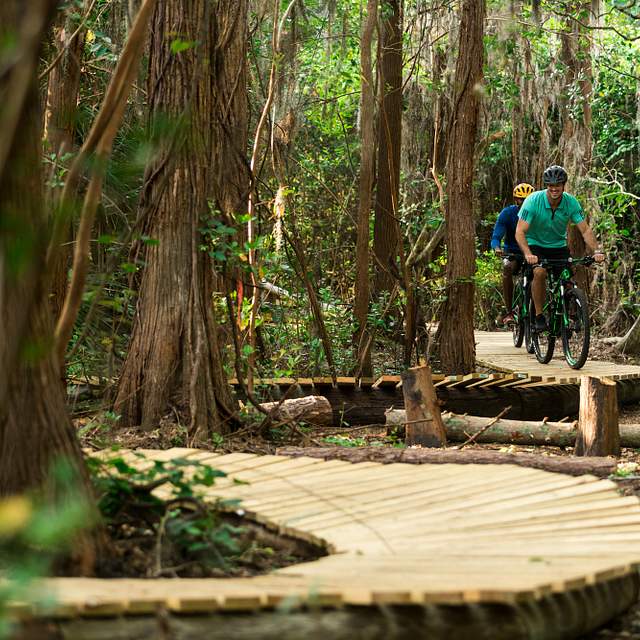 78252_bike_trail.jpg