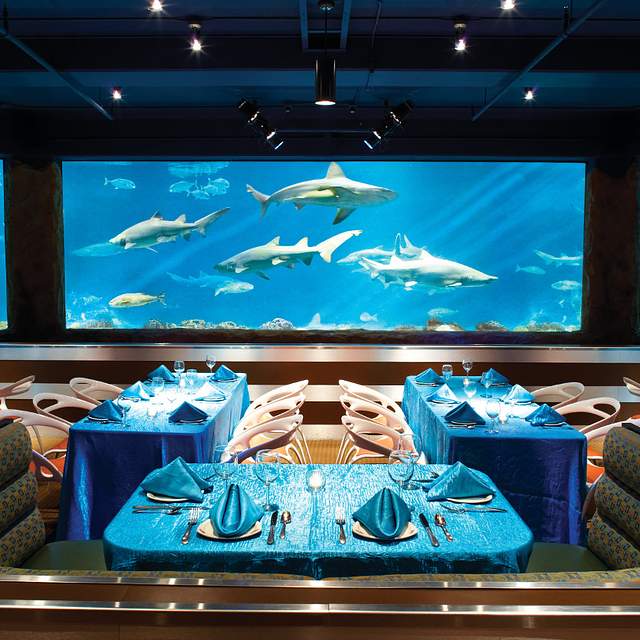 SeaWorld® - Sharks Underwater Grill