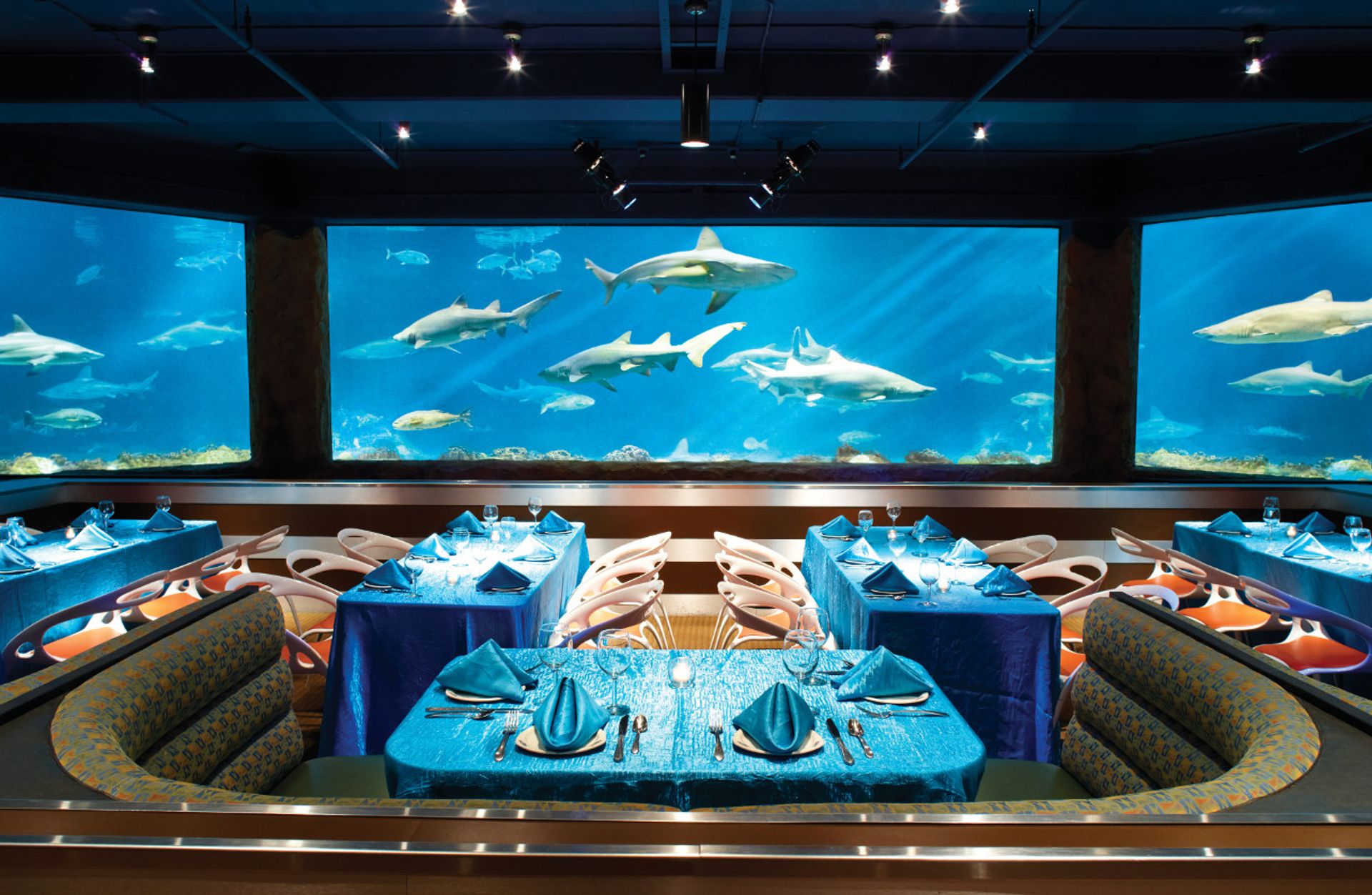 SeaWorld® Sharks Underwater Grill Orlando, FL 31531