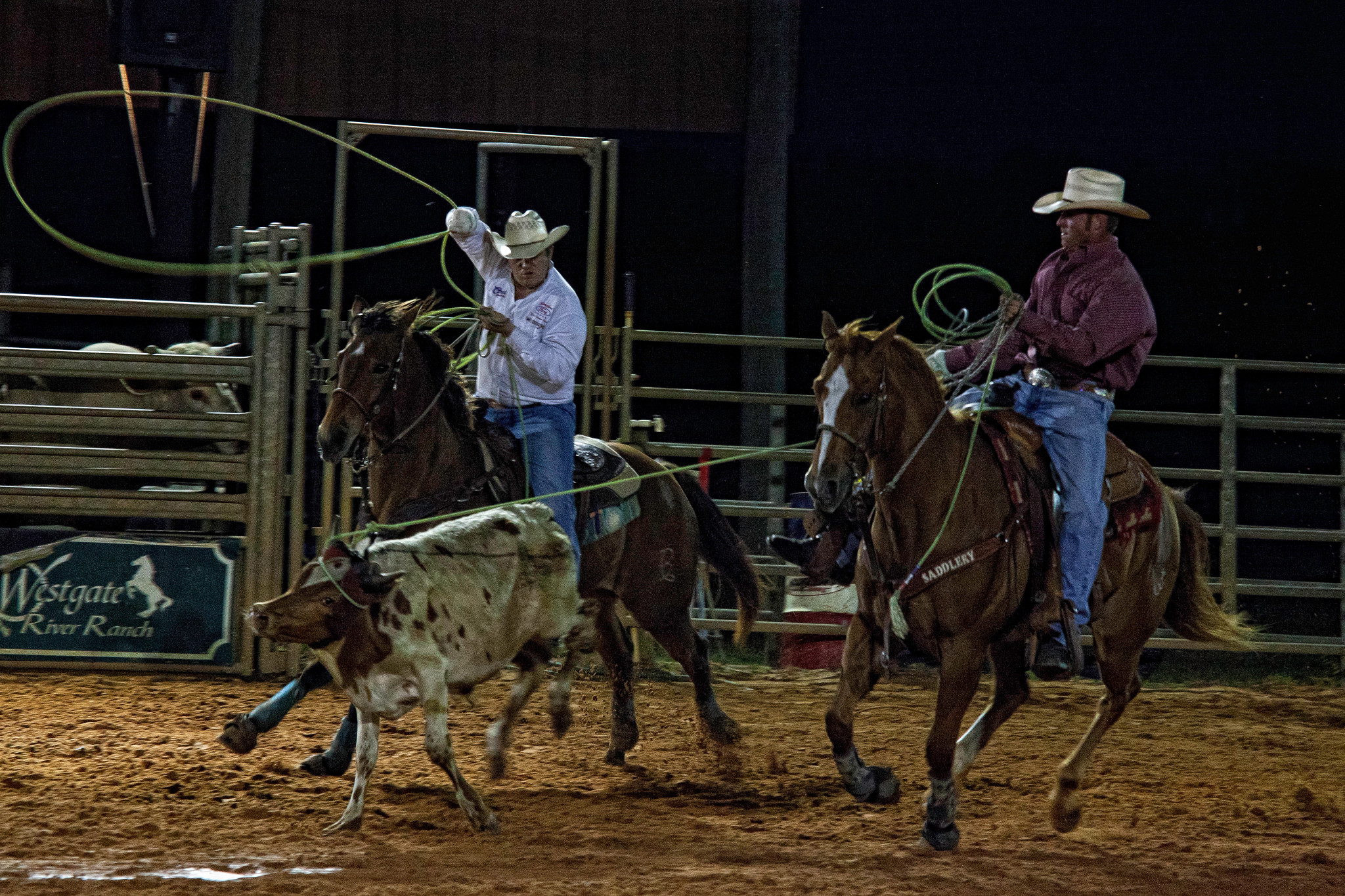 8817-WestgateRiverRanchResort-2029-3.jpg