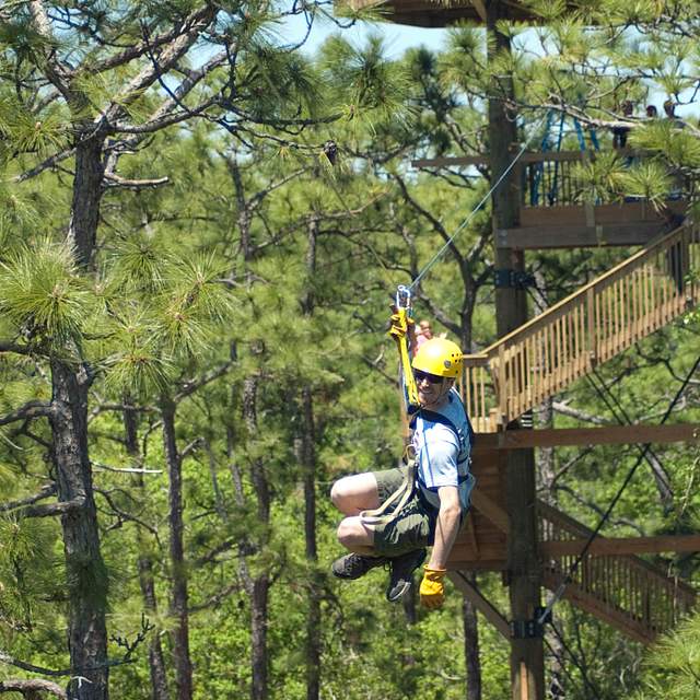 138126_screaming_gator_zipline_3.jpg