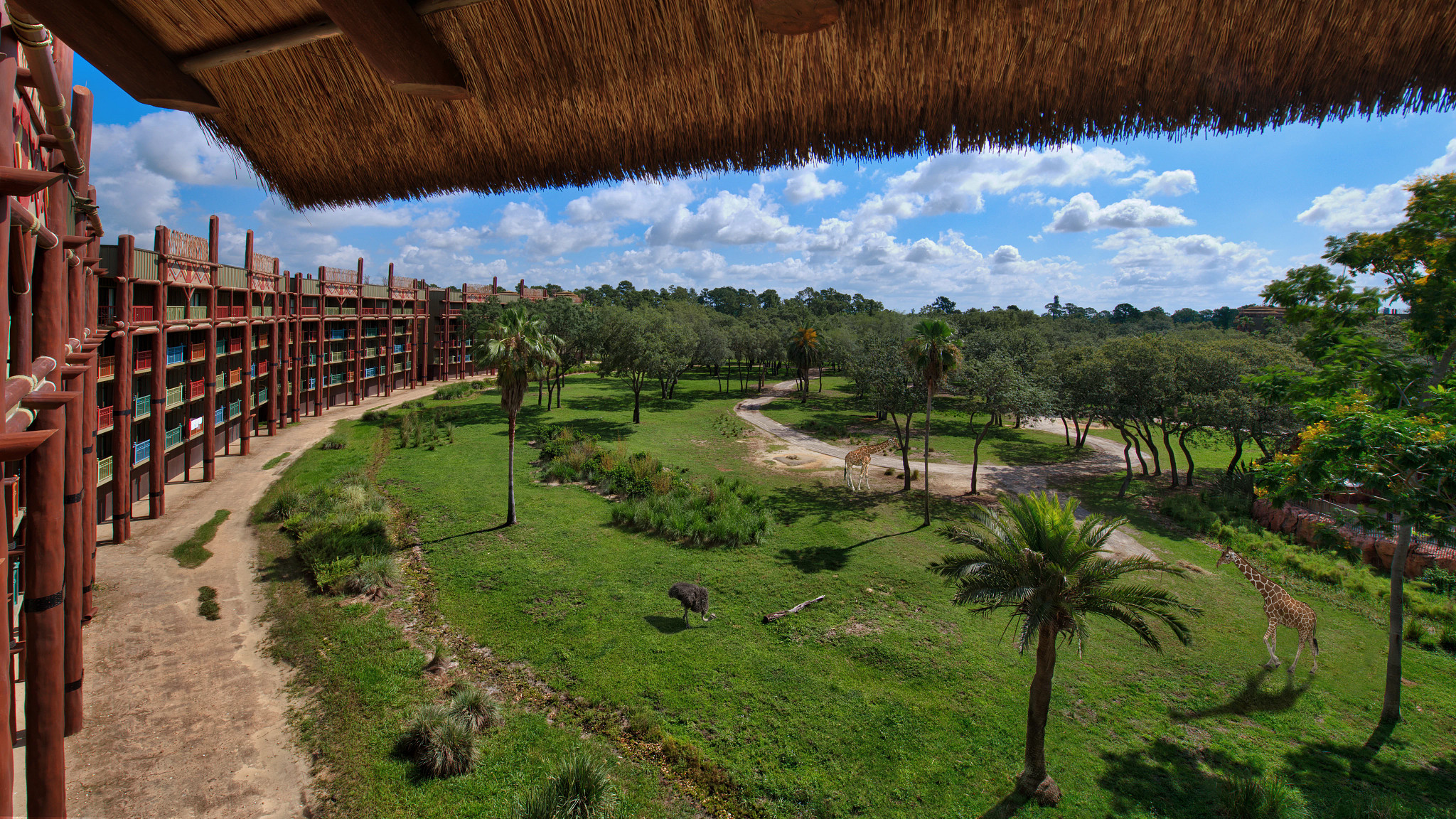 134320-Disney'sAnimalKingdomVillas-JamboHouse-2026.jpg