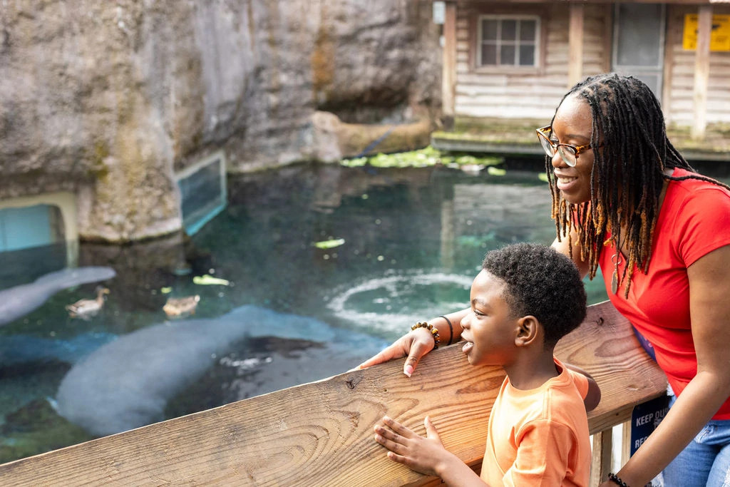 182613-mother-son-manatees.jpg
