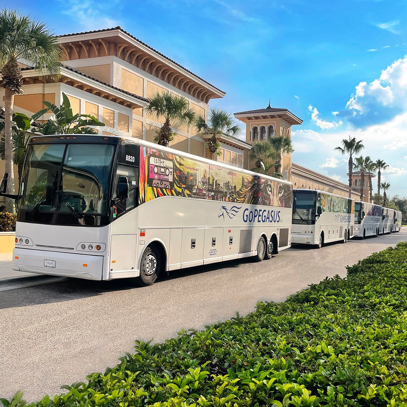 6130-buses.jpg