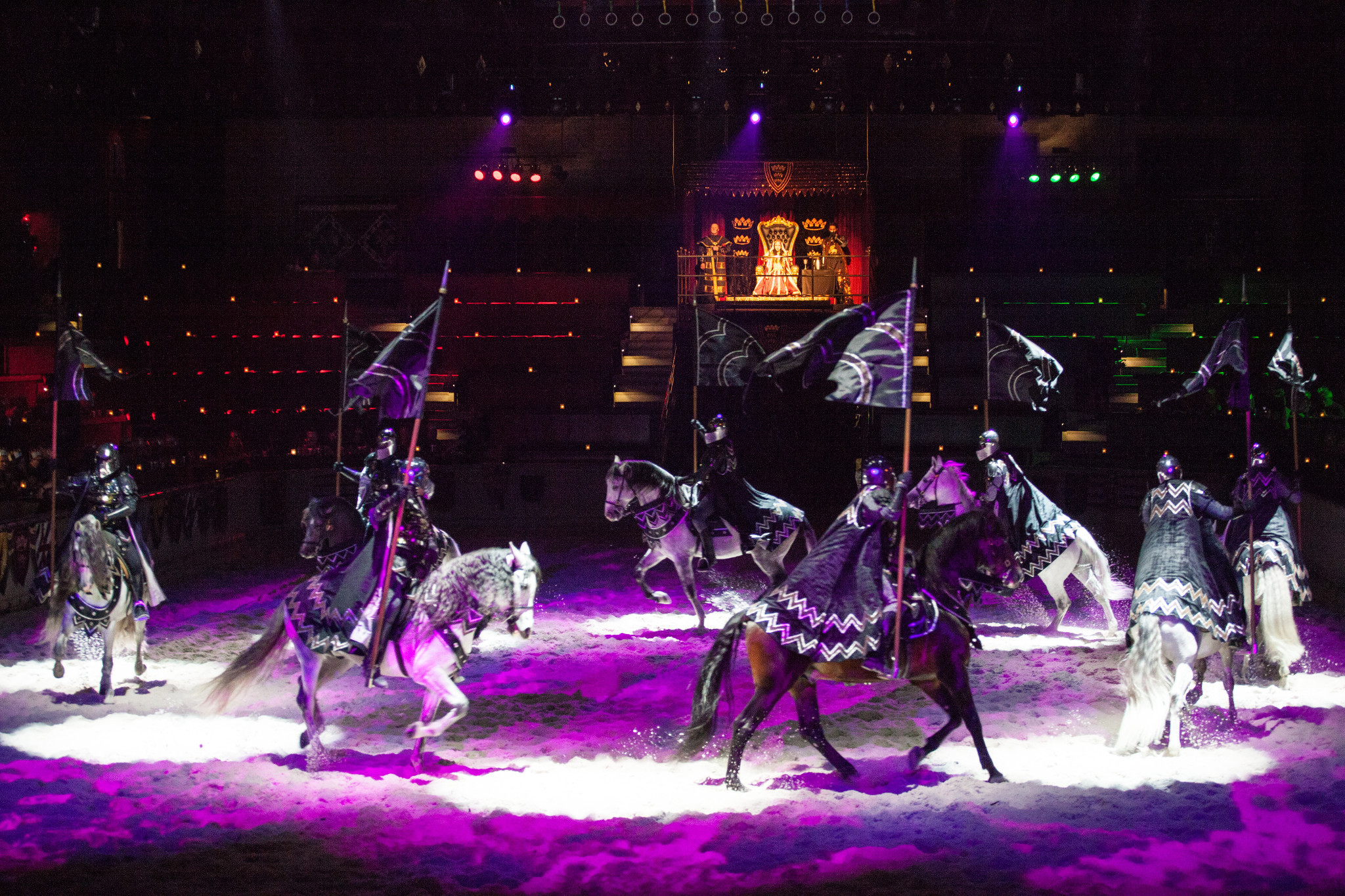 5168_horses2.jpg
