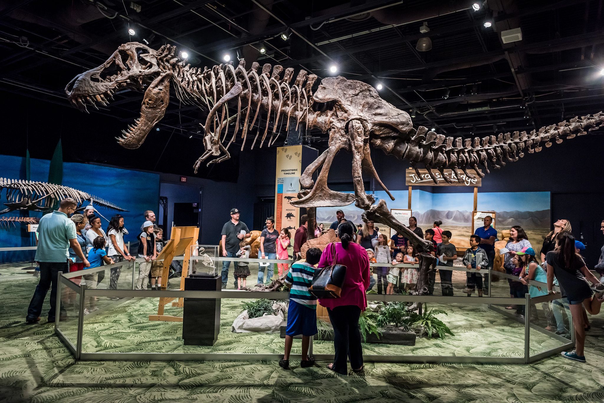 31265 | Orlando Science Center | Orlando, FL