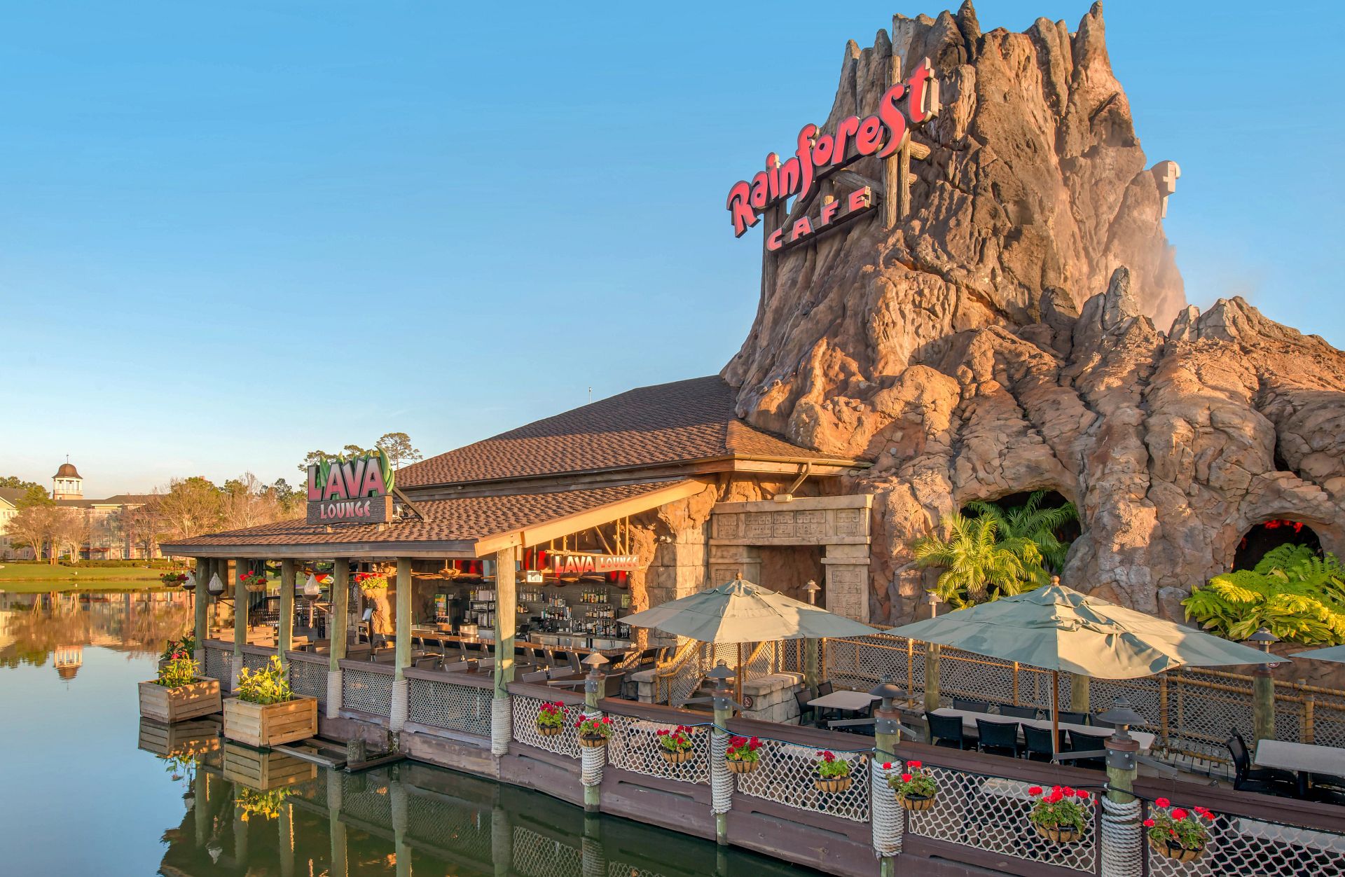 Rainforest Cafe At Disney Springs Lake Buena Vista FL 50771 rainforest-cafe-at-disney-springs-lake-buena-vista-fl-50771