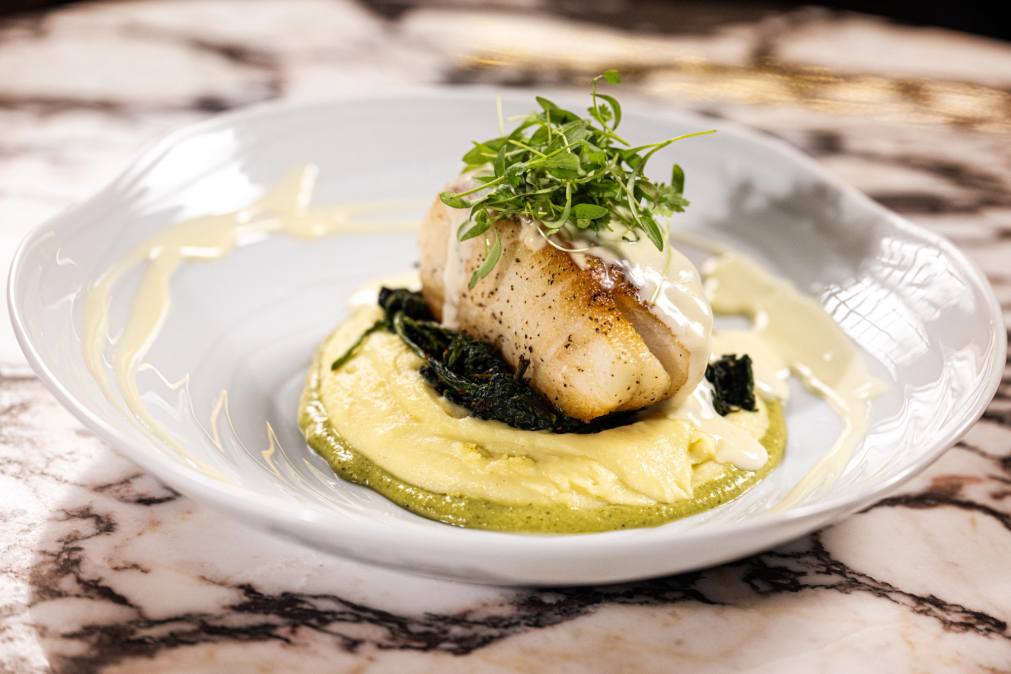 Salt & the Cellar By Akira Back Kissimmee, FL 53519