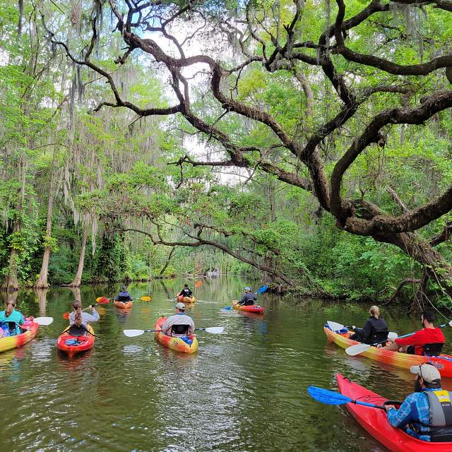 201450-AdventureOutdoorPaddle-2028.jpg