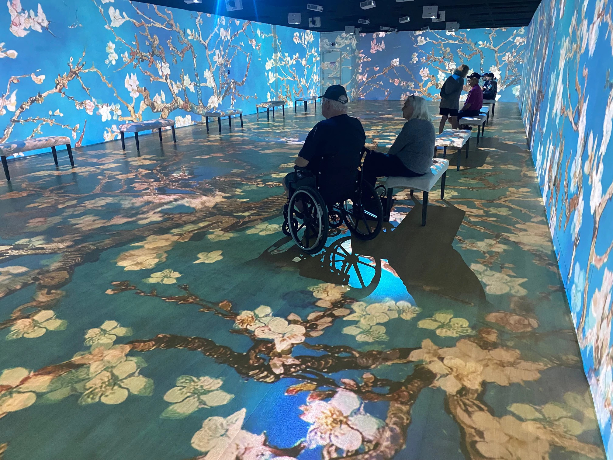 Immersive Van Gogh | Cape Canaveral, FL | 52033