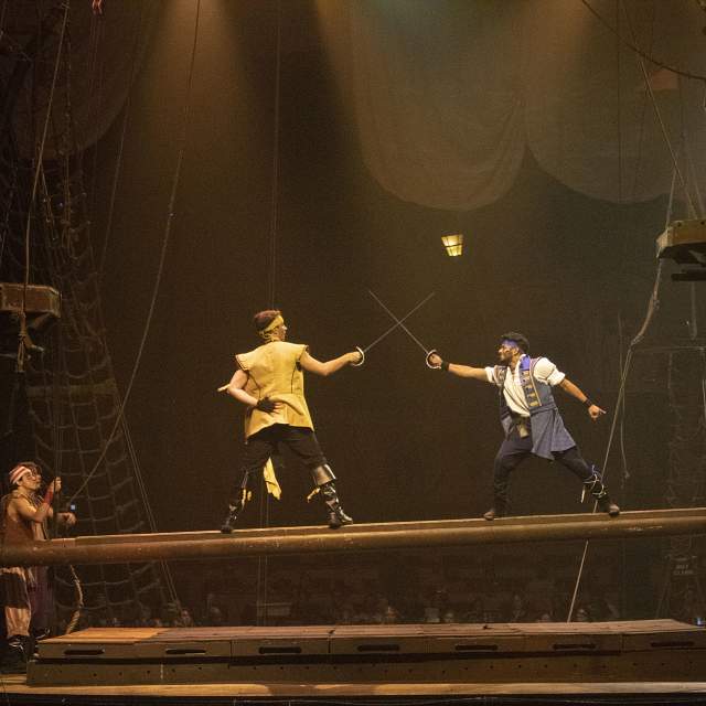 195735-pirates-fencing.jpg