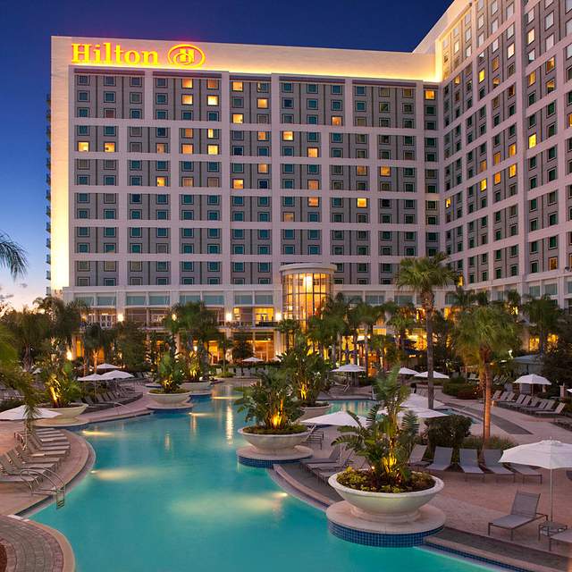 Hilton Orlando | Orlando, FL | 25601 - Featured