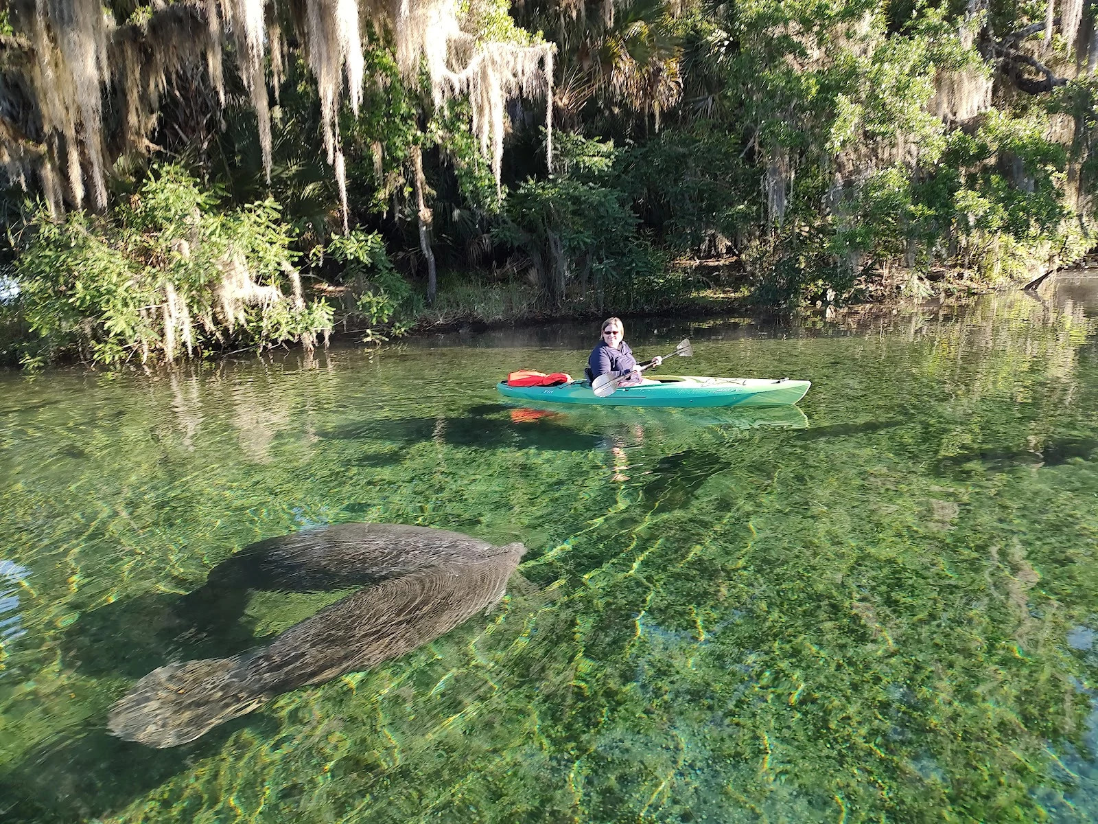Epic Paddle Adventures Orlando, FL 50712