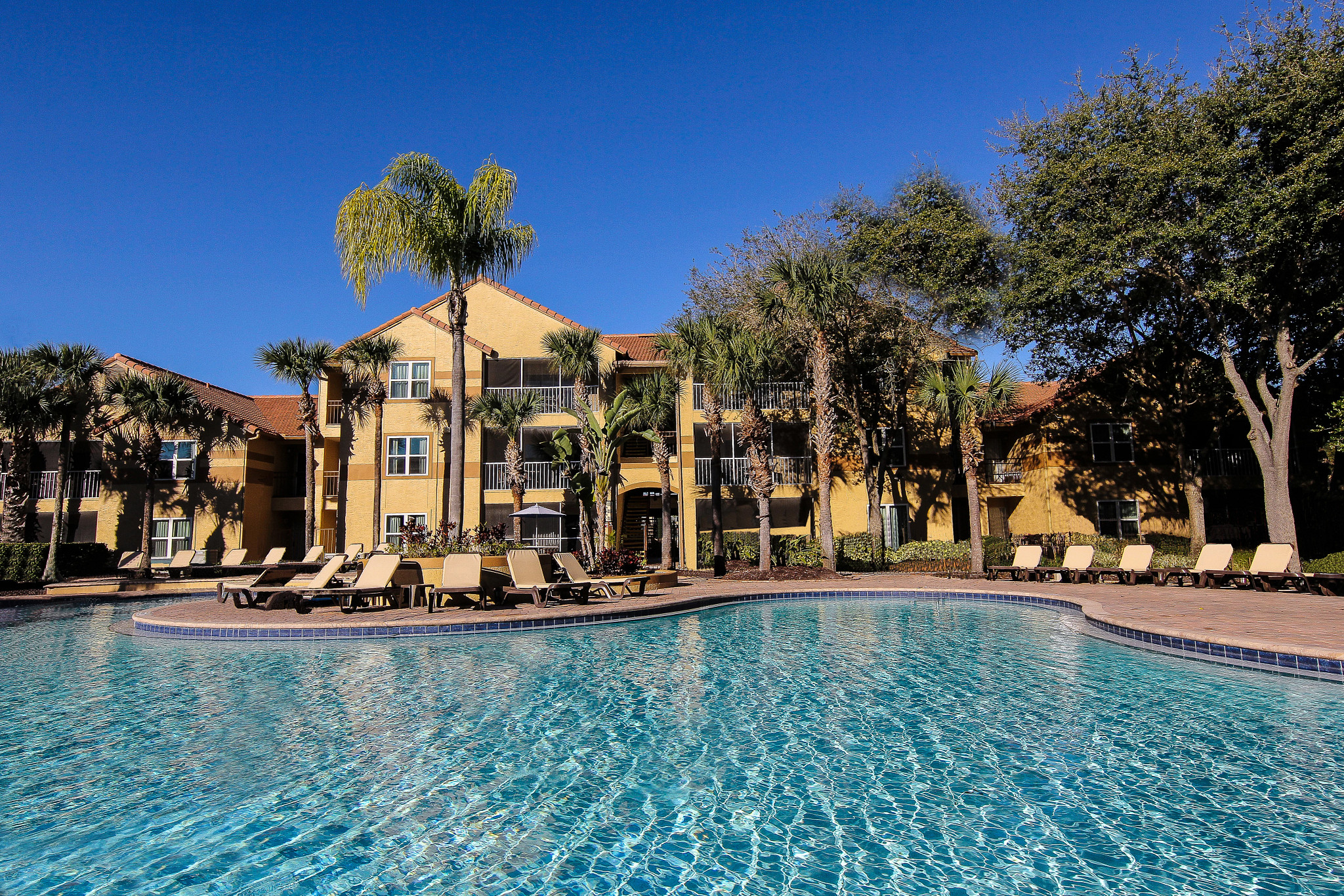 8811-WestgateBlueTreeatLakeBuenaVista-2029.jpg