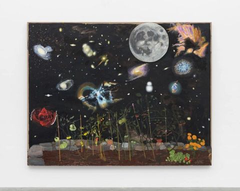 Tour: The Captivating Unknown: Charting Our Relationship with the Cosmos